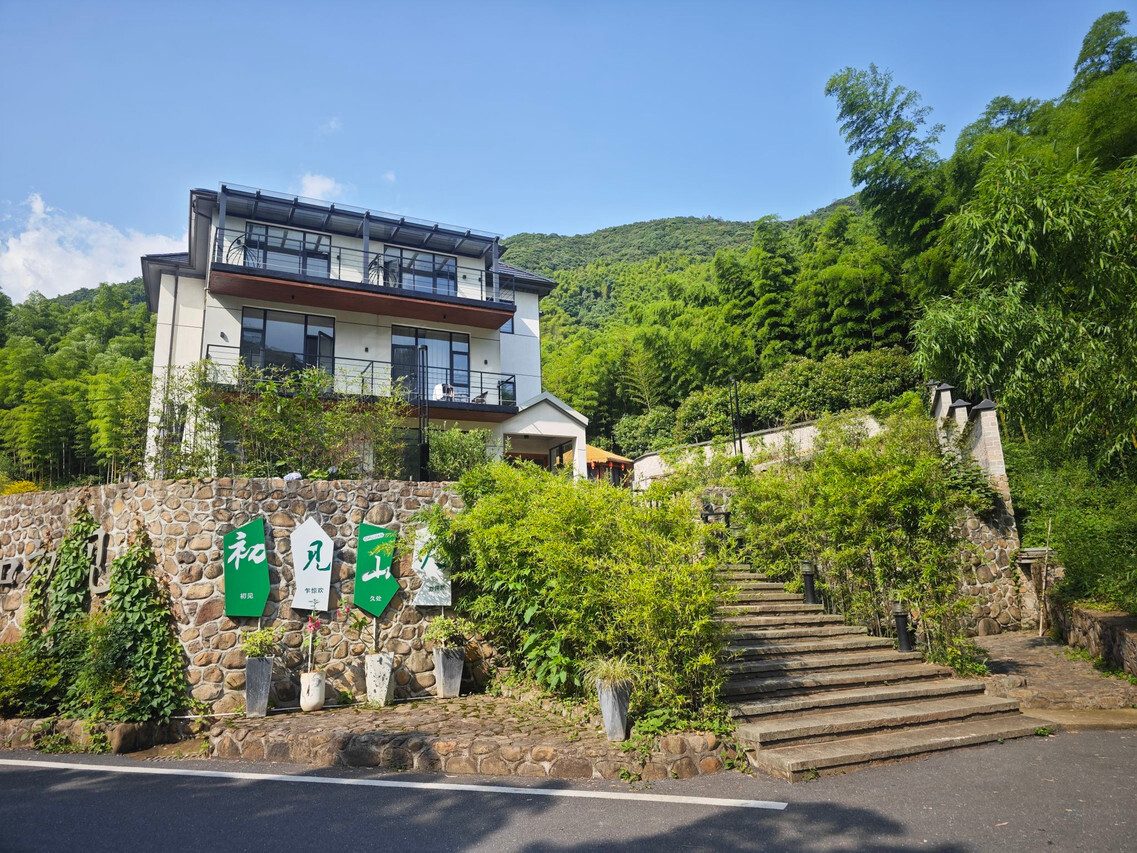 庭院实景，石径苔痕老树