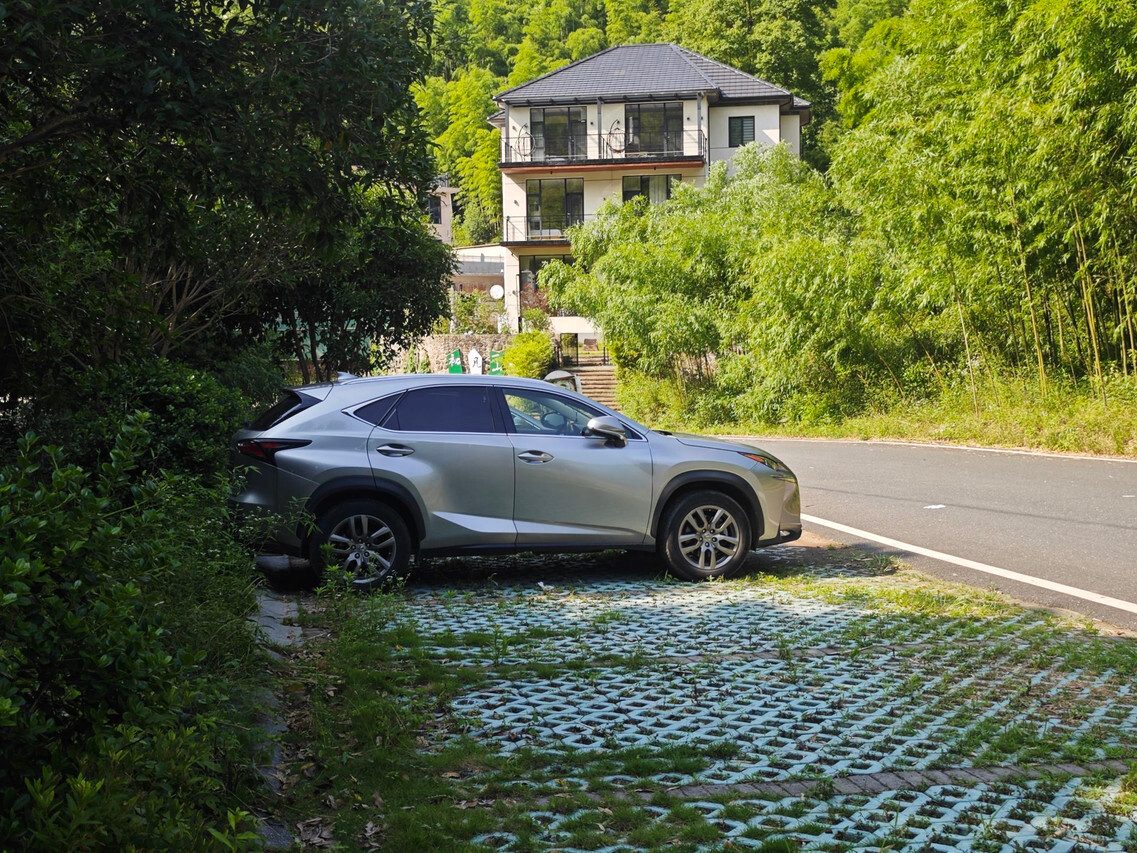 拾级访山，竹林步道
